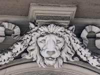 Leone protettivo  Particolare del palazzo di Maria Vittoria n10 : -S-, Particolari