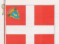 Fanteria Provinciale  Bandiera d'ordinanza della fanteria provinciale (1715-1774). La croce bianca in campo rosso era uguale per tutti i reggimenti, cambiava solo lo stemma. I reggimenti erano: Torino, Chablais, Tarantaise, Aosta, Vercelli, Asti, Nizza, Mondovì, Casale e Pinerolo.