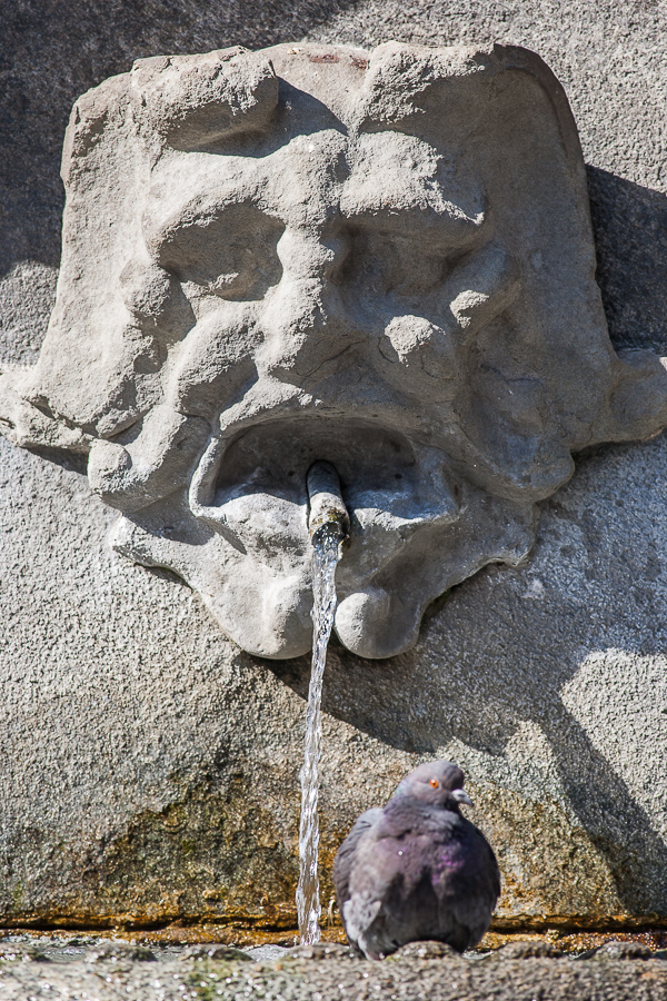 Il portatore d'acqua