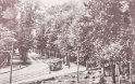 1900 - viale dell'Orto botanico al Valentino